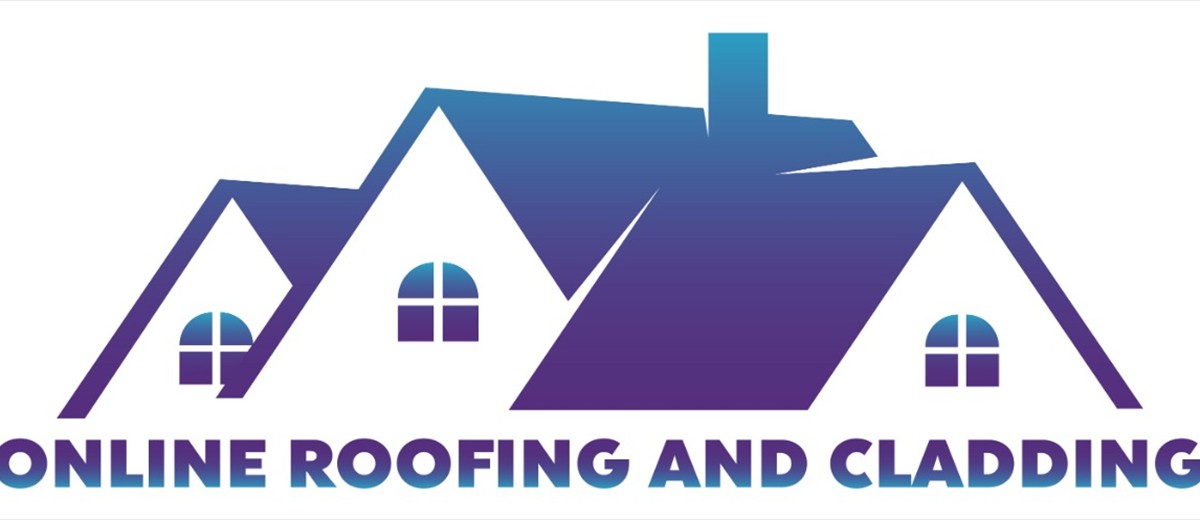 Professional Roofers